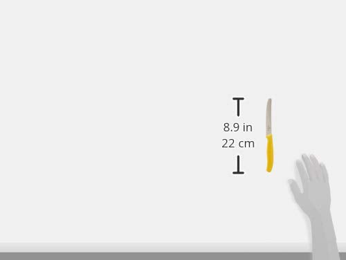 Victorinox Classic Wavy Edge Steak and Tomato Knife, Green