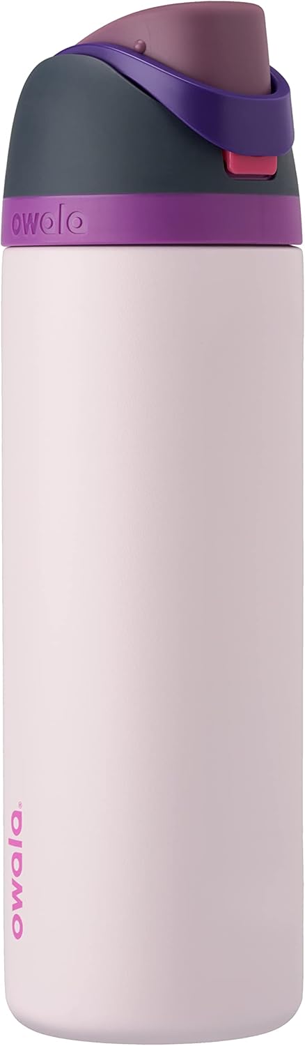 Insulated Stainless Steel Water Bottle - FreeSip Straw & Spout