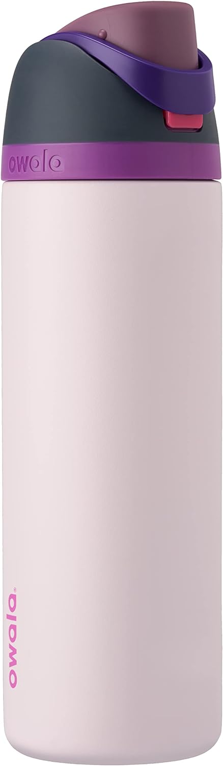 Insulated Stainless Steel Water Bottle - FreeSip Straw & Spout