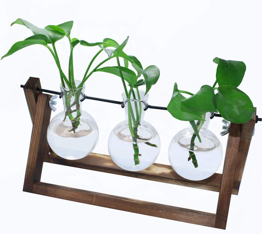 laffeya Plants Propagation Stations, Hydroponic Terrarium Kit- Desktop Glass Flower Planter 3 Glass Vase with Wood Stands for Home Office Decor, Plant Gifts for Plant Lovers (3 Bulb Vase C, Beige)