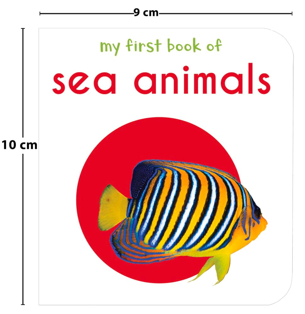 Toddler Learning Boxset | 10 Board Books | Educational | Australia
