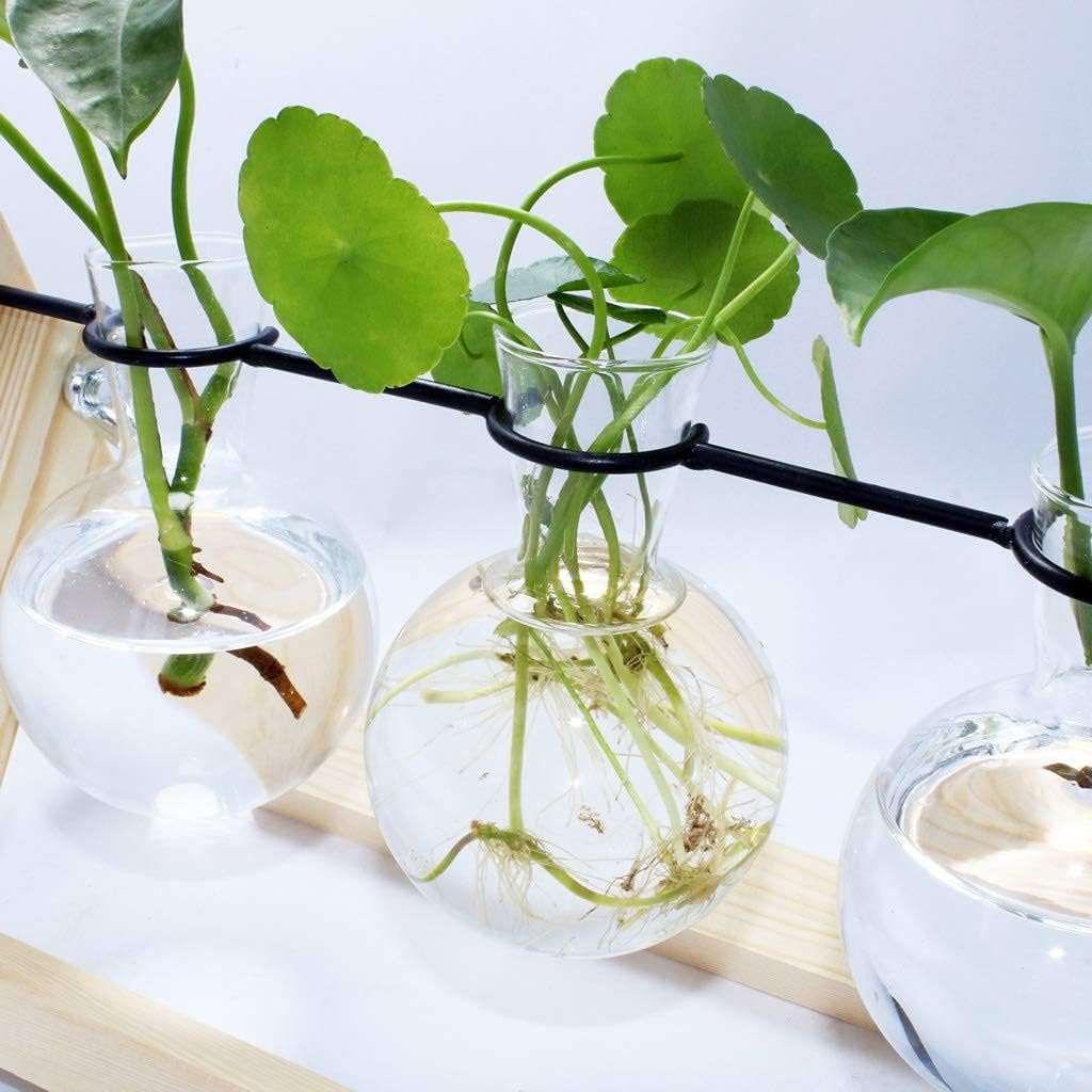 laffeya Plants Propagation Stations, Hydroponic Terrarium Kit- Desktop Glass Flower Planter 3 Glass Vase with Wood Stands for Home Office Decor, Plant Gifts for Plant Lovers (3 Bulb Vase C, Beige)