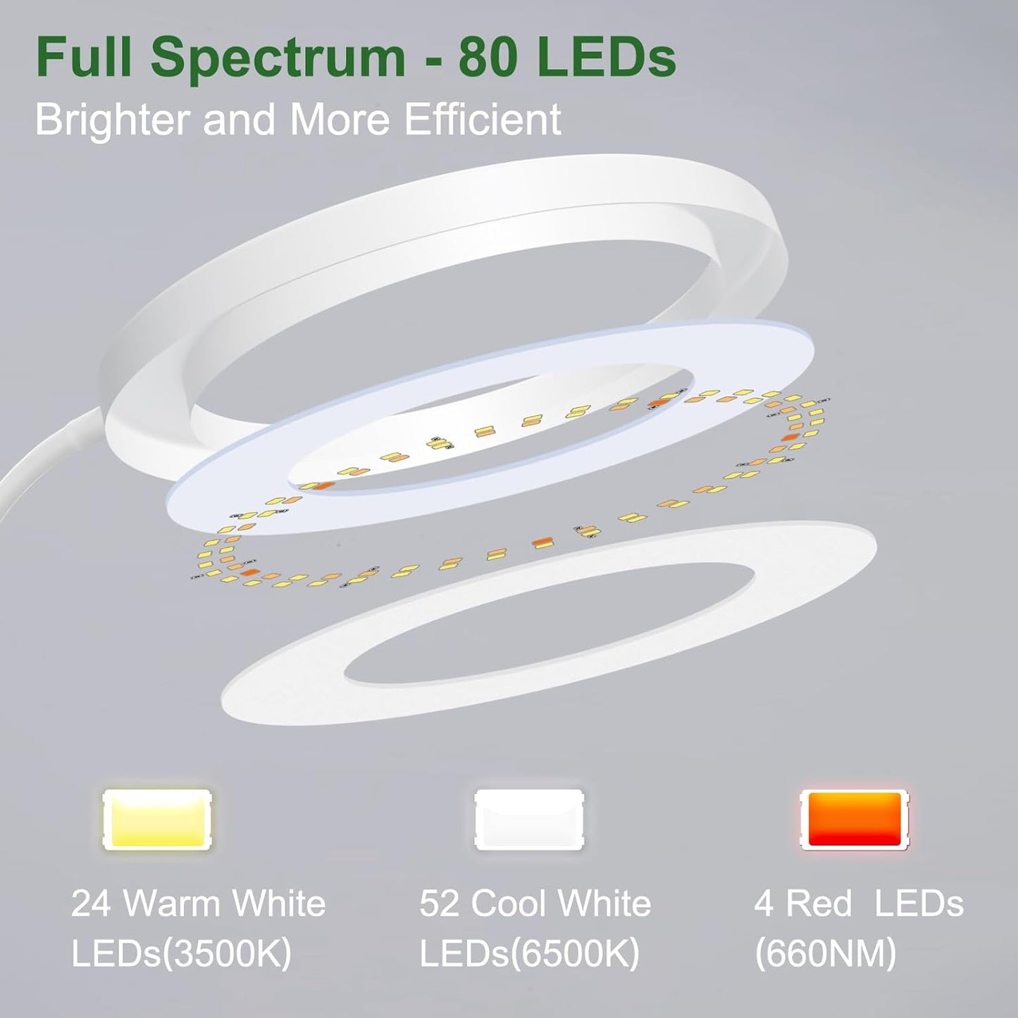 Height Adjustable Grow Light | Timer | 6500K