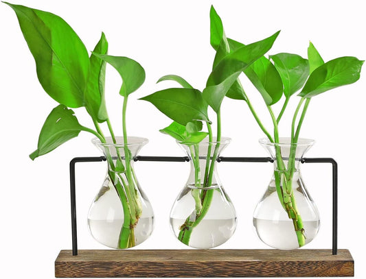 laffeya Plants Propagation Stations, Hydroponic Terrarium Kit- Desktop Glass Flower Planter 3 Glass Vase with Wood Stands for Home Office Decor, Plant Gifts for Plant Lovers (3 Bulb Vase C, Beige)