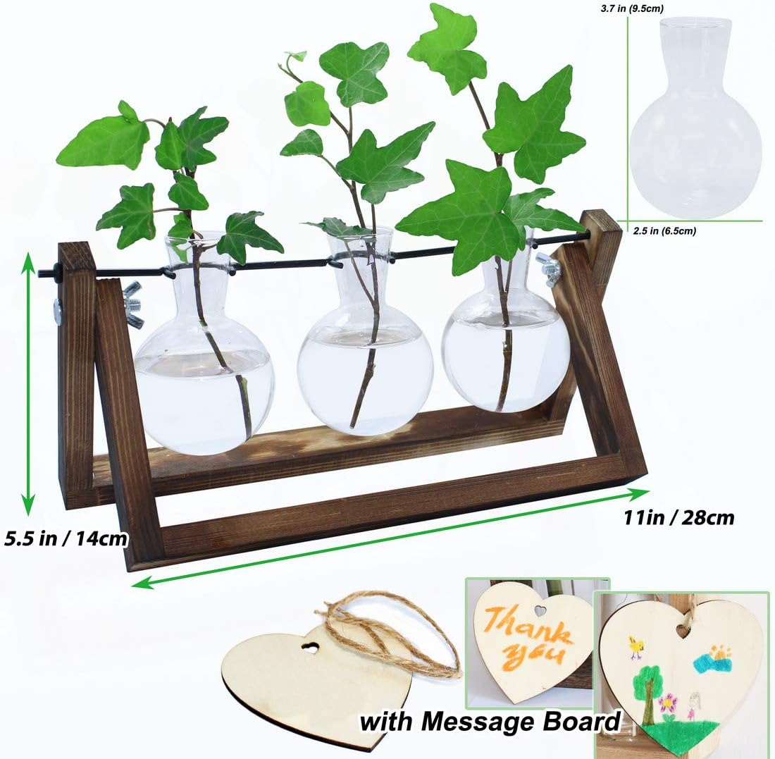 laffeya Plants Propagation Stations, Hydroponic Terrarium Kit- Desktop Glass Flower Planter 3 Glass Vase with Wood Stands for Home Office Decor, Plant Gifts for Plant Lovers (3 Bulb Vase C, Beige)