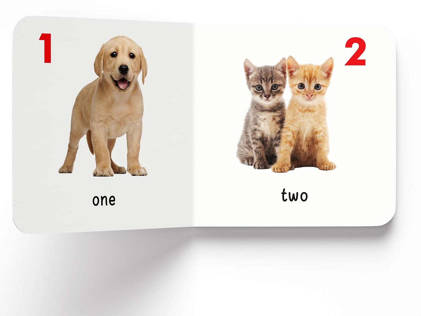 Toddler Learning Boxset | 10 Board Books | Educational | Australia