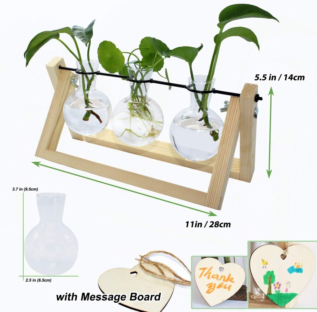 laffeya Plants Propagation Stations, Hydroponic Terrarium Kit- Desktop Glass Flower Planter 3 Glass Vase with Wood Stands for Home Office Decor, Plant Gifts for Plant Lovers (3 Bulb Vase C, Beige)