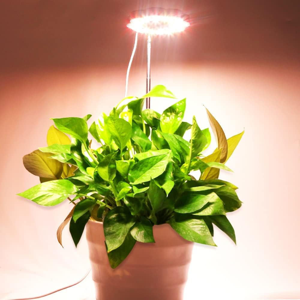 Full Spectrum LED Grow Light for Indoor Plants