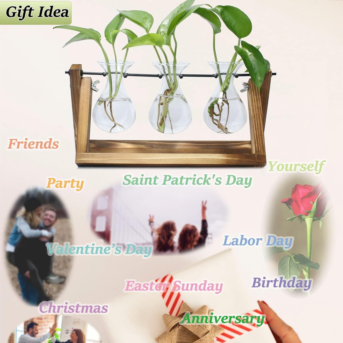 laffeya Plants Propagation Stations, Hydroponic Terrarium Kit- Desktop Glass Flower Planter 3 Glass Vase with Wood Stands for Home Office Decor, Plant Gifts for Plant Lovers (3 Bulb Vase C, Beige)