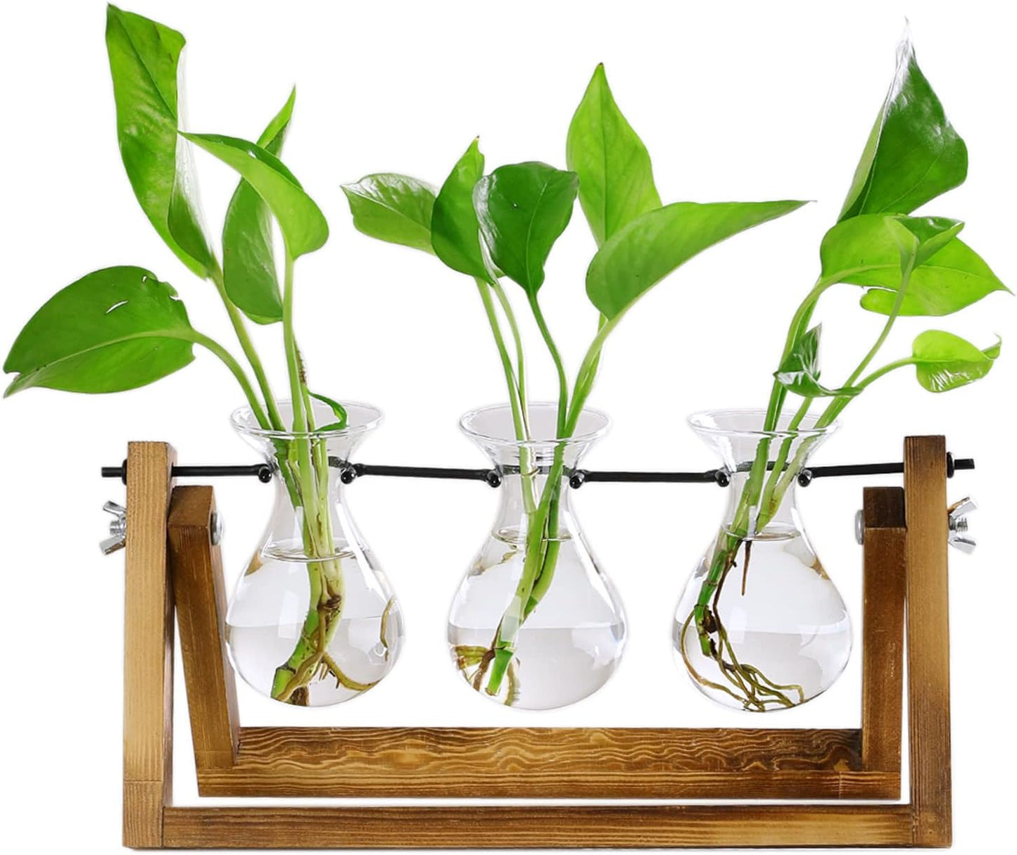laffeya Plants Propagation Stations, Hydroponic Terrarium Kit- Desktop Glass Flower Planter 3 Glass Vase with Wood Stands for Home Office Decor, Plant Gifts for Plant Lovers (3 Bulb Vase C, Beige)