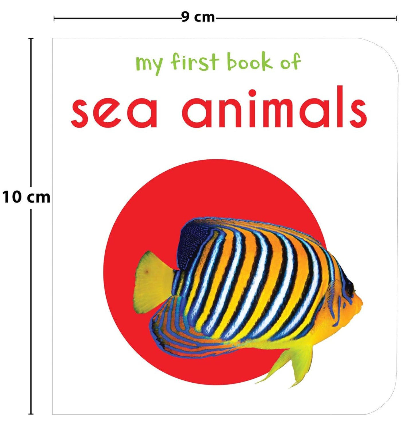 Toddler Learning Boxset | 10 Board Books | Educational | Australia