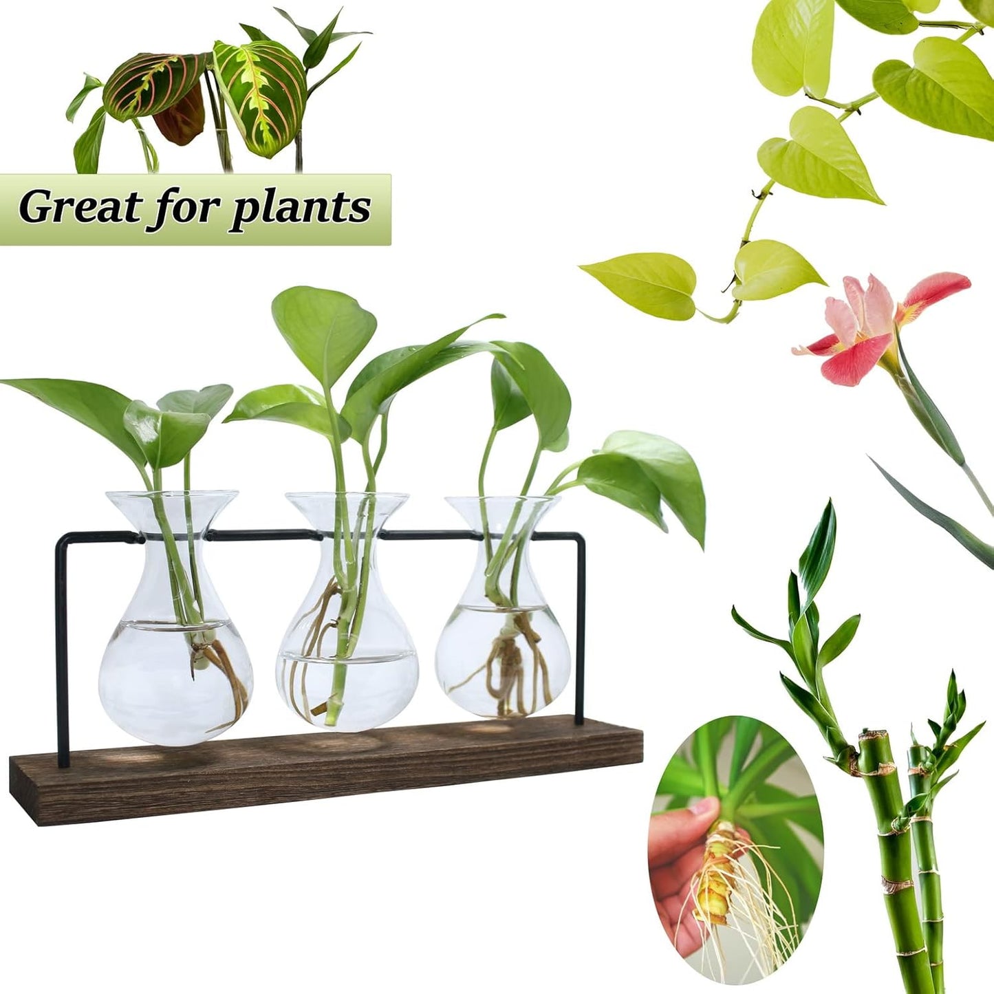 laffeya Plants Propagation Stations, Hydroponic Terrarium Kit- Desktop Glass Flower Planter 3 Glass Vase with Wood Stands for Home Office Decor, Plant Gifts for Plant Lovers (3 Bulb Vase C, Beige)