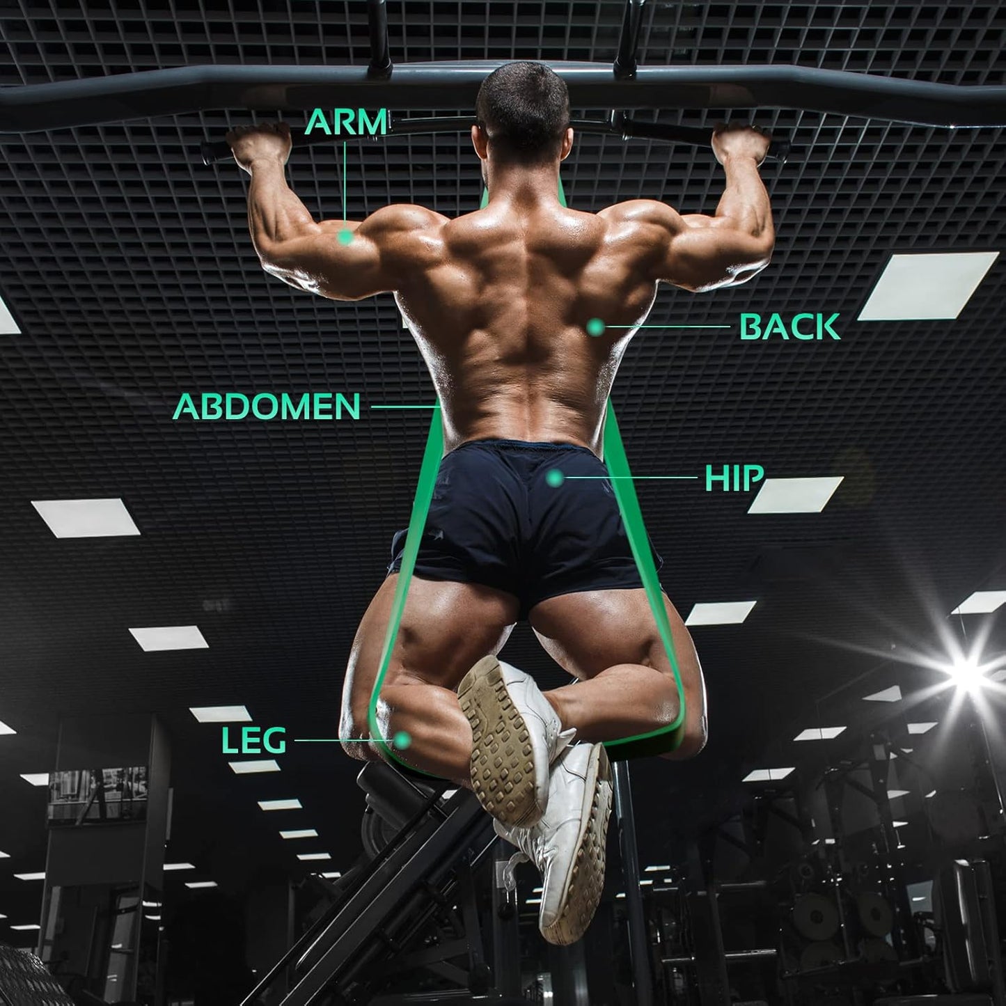 Assisted Pull Up Bands - Progressive Resistance Training Set with Exercise Guide