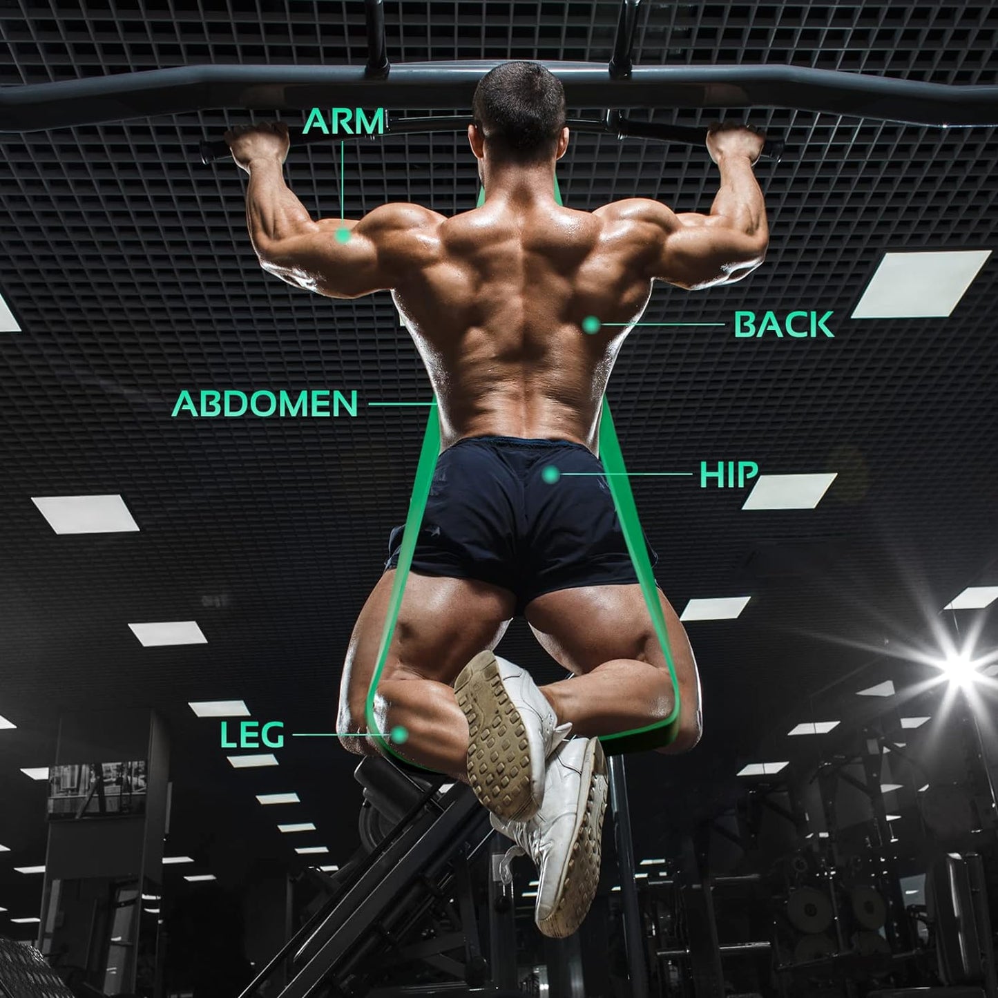Assisted Pull Up Bands - Progressive Resistance Training Set with Exercise Guide