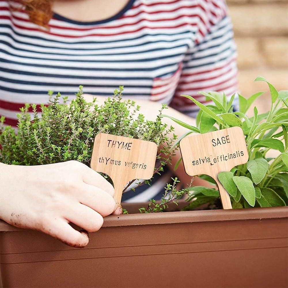 Bamboo Plant Labels Outdoor Wooden Plant Signs Waterproof 50pcs