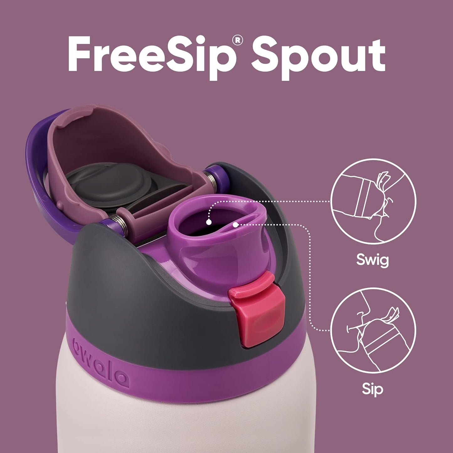 Insulated Stainless Steel Water Bottle - FreeSip Straw & Spout