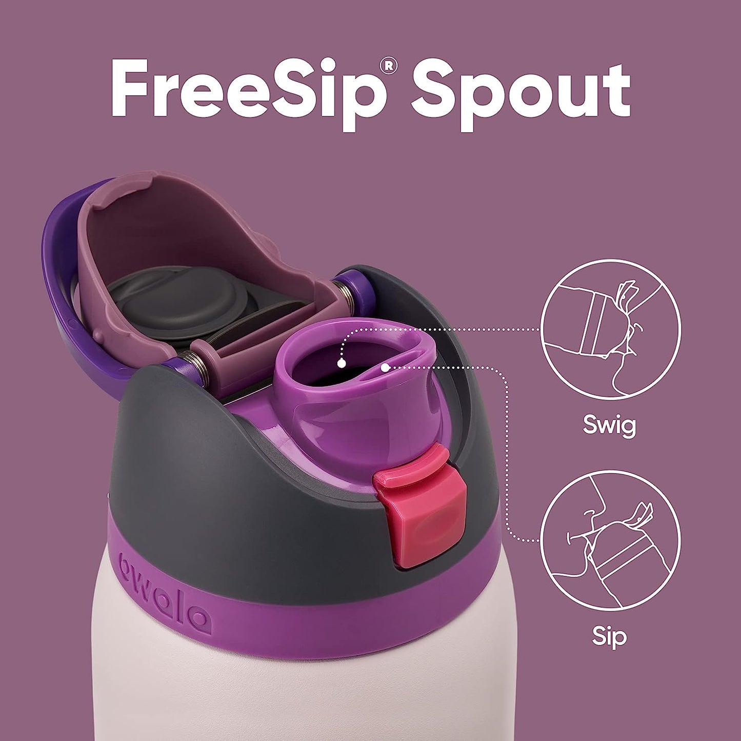 Insulated Stainless Steel Water Bottle - FreeSip Straw & Spout