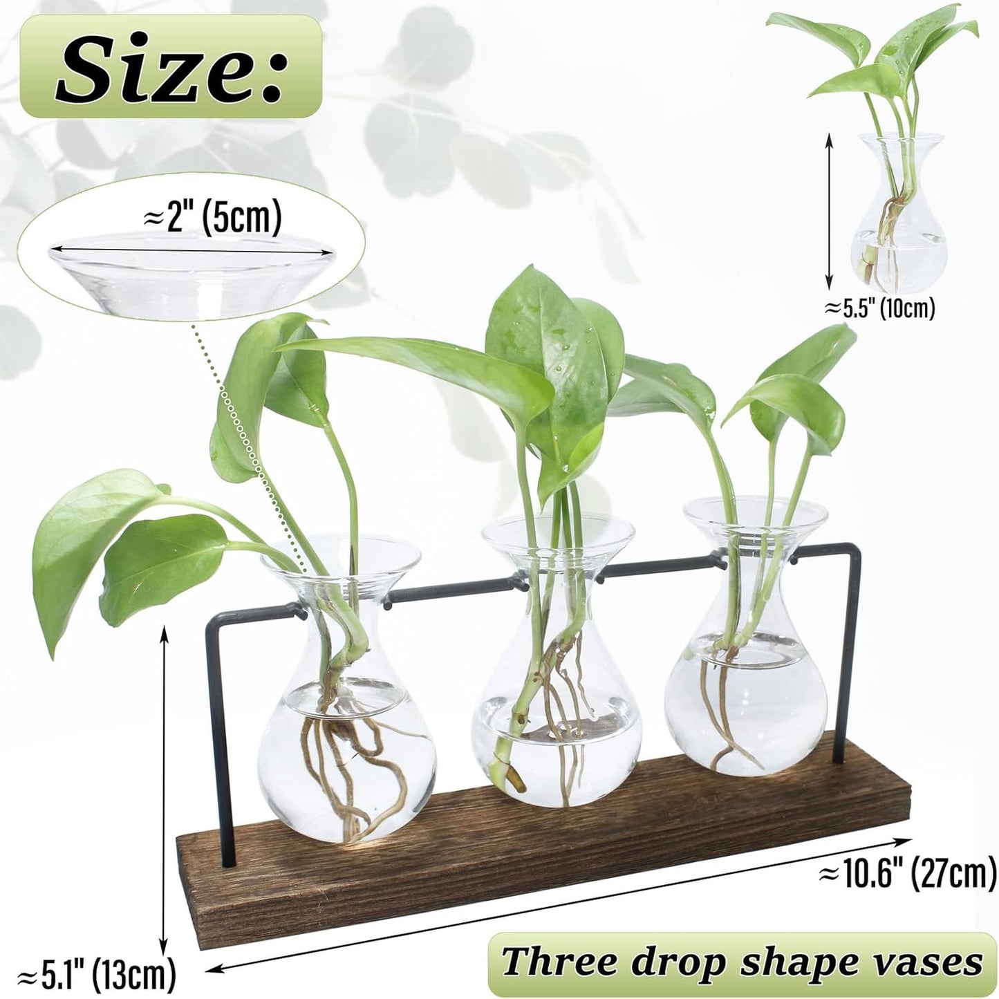 laffeya Plants Propagation Stations, Hydroponic Terrarium Kit- Desktop Glass Flower Planter 3 Glass Vase with Wood Stands for Home Office Decor, Plant Gifts for Plant Lovers (3 Bulb Vase C, Beige)