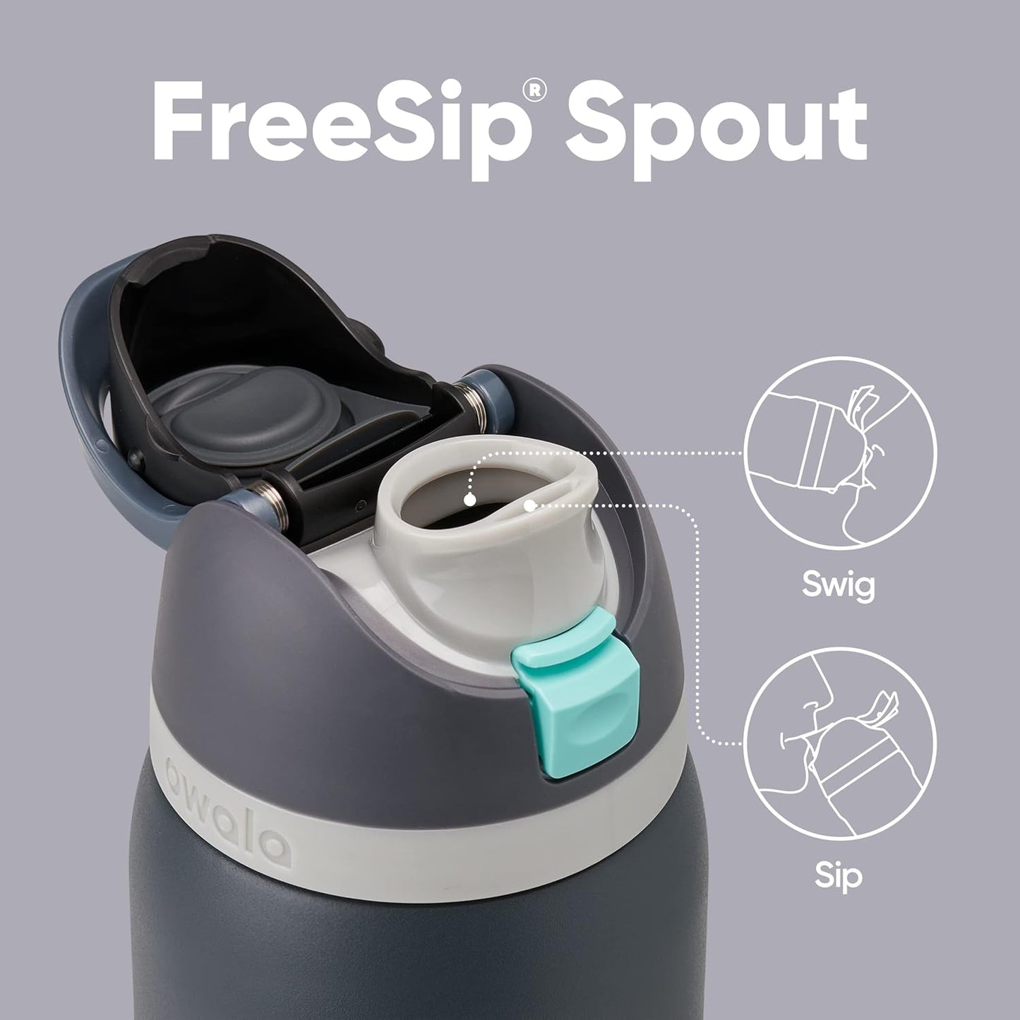 Insulated Stainless Steel Water Bottle - FreeSip Straw & Spout