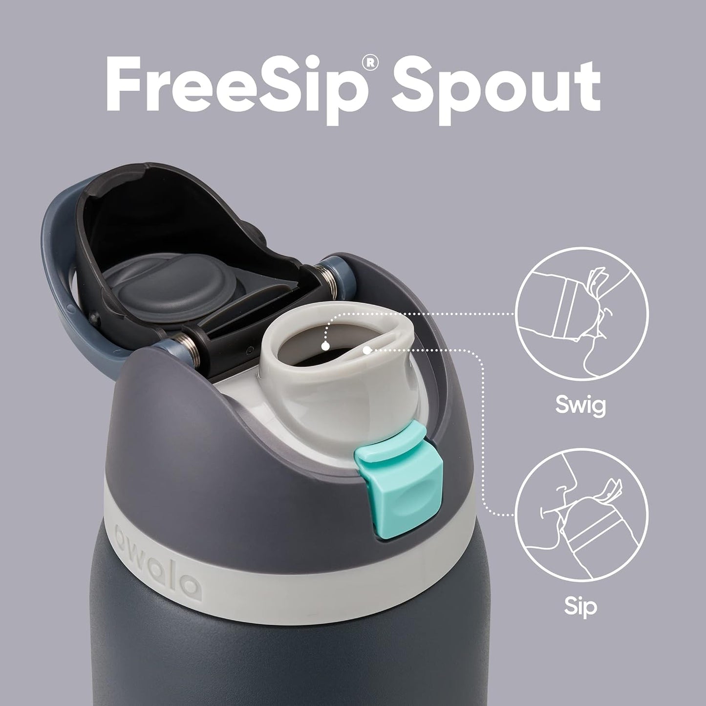 Insulated Stainless Steel Water Bottle - FreeSip Straw & Spout