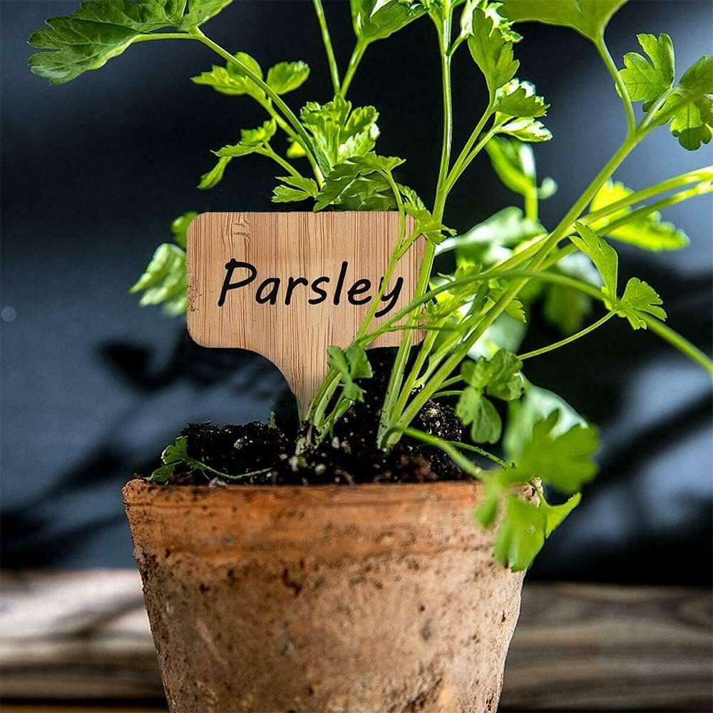 Bamboo Plant Labels Outdoor Wooden Plant Signs Waterproof 50pcs