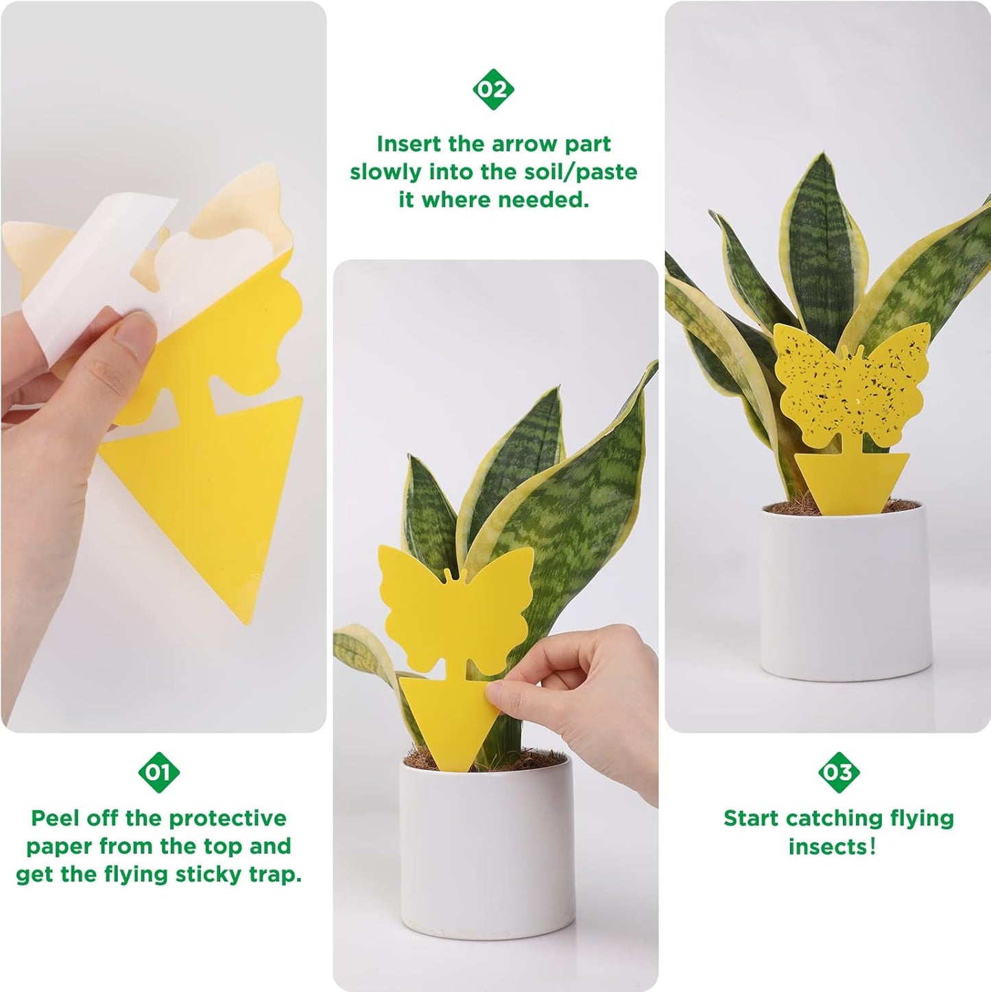 40 PCS Sticky Traps, GeeRic Sticky Fruit Fly and Plant Gnat Bug Traps for Indoor/Outdoor Use, Dual-Sided Black Sticky Traps Insect Catcher for White Flies, Mosquitos, Fungus Gnats, Flying Insects