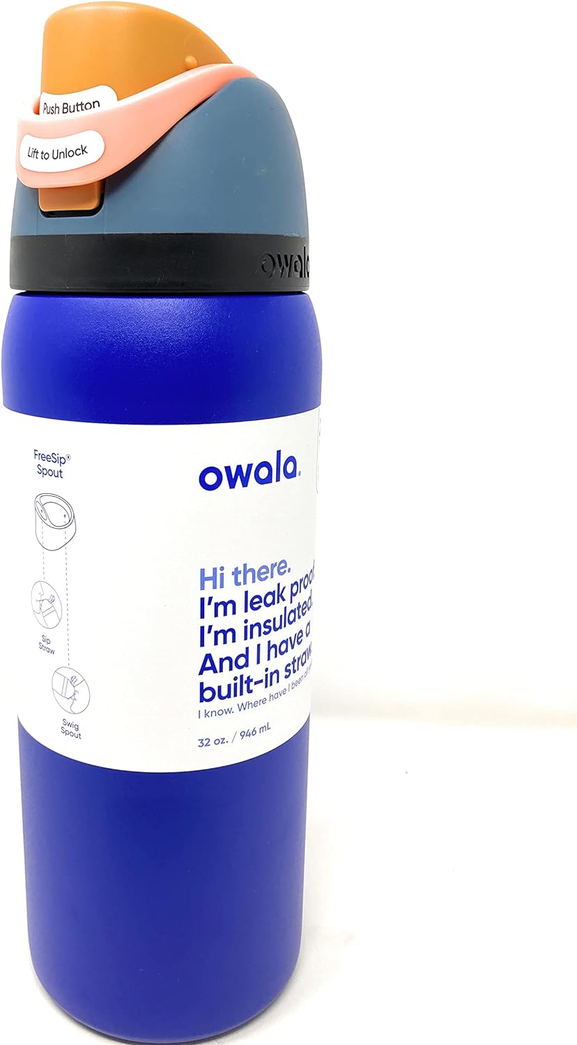 Insulated Stainless Steel Water Bottle - FreeSip Straw & Spout