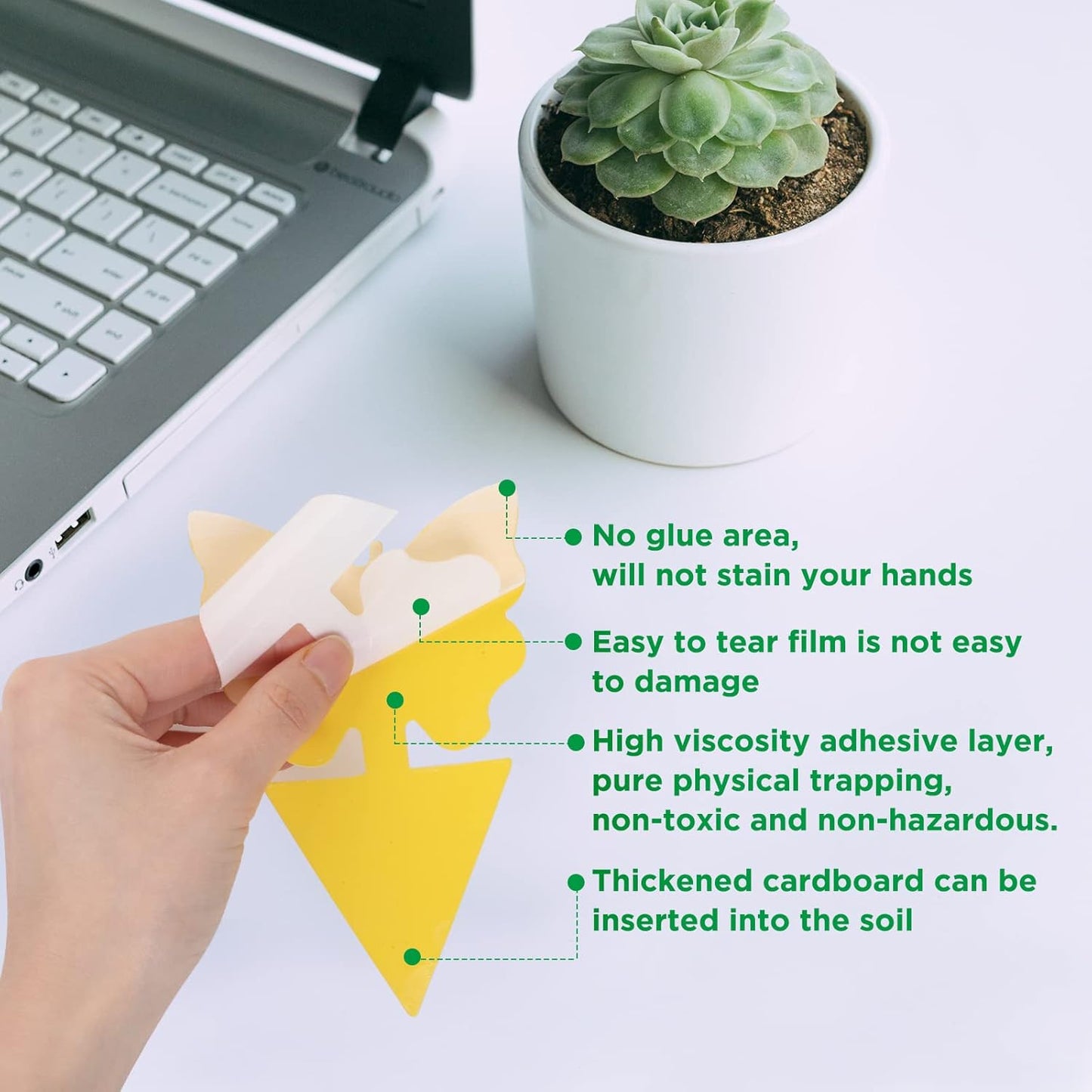 40 PCS Sticky Traps, GeeRic Sticky Fruit Fly and Plant Gnat Bug Traps for Indoor/Outdoor Use, Dual-Sided Black Sticky Traps Insect Catcher for White Flies, Mosquitos, Fungus Gnats, Flying Insects