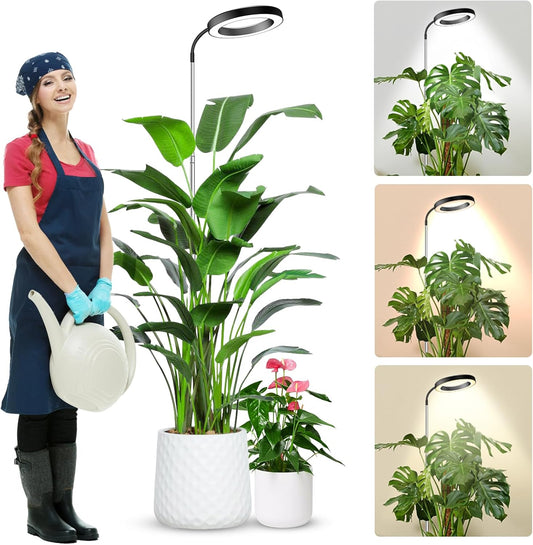 Height Adjustable Grow Light | Timer | 6500K