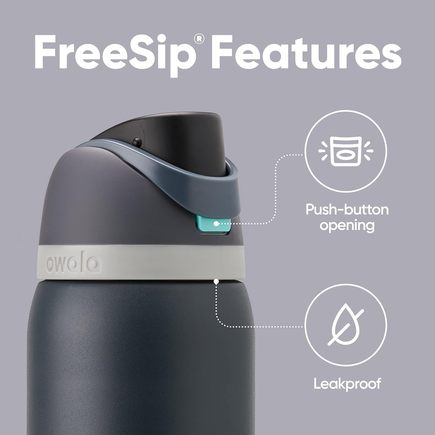 Insulated Stainless Steel Water Bottle - FreeSip Straw & Spout
