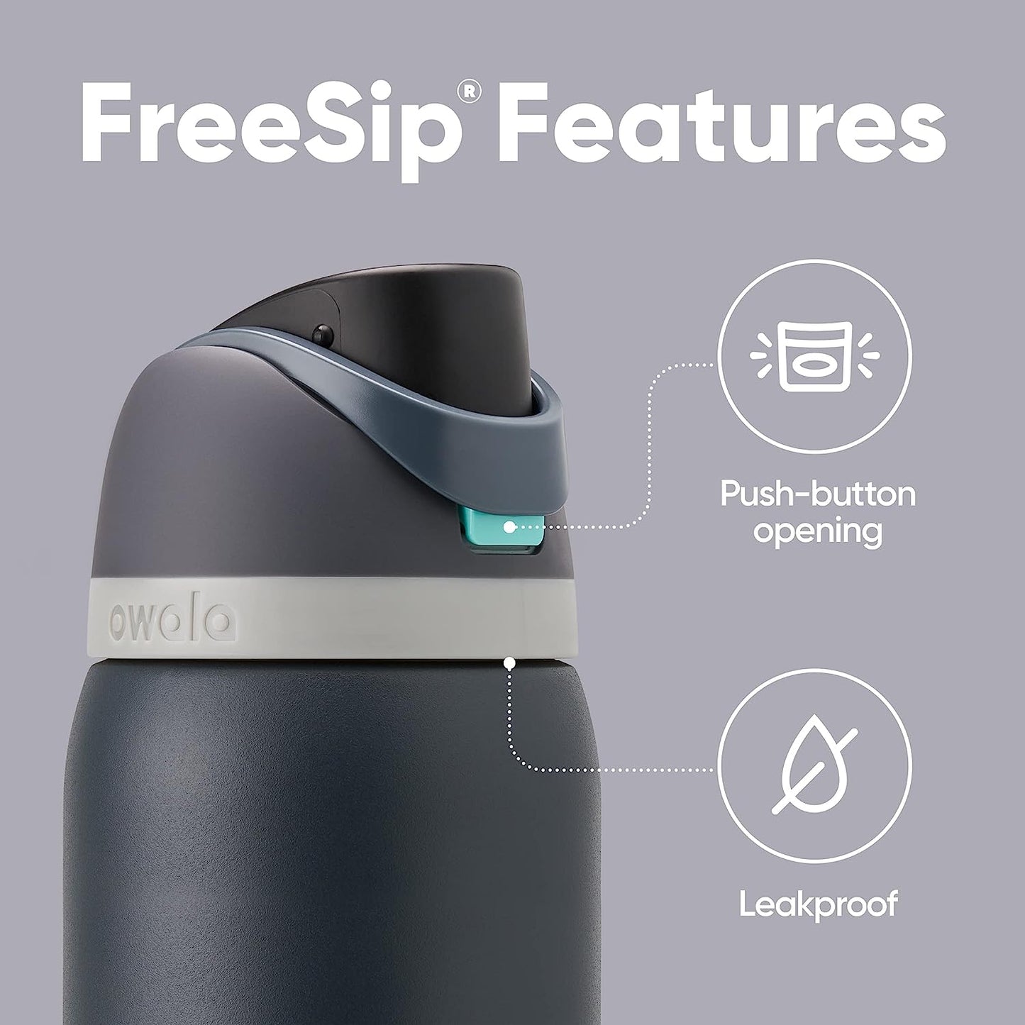 Insulated Stainless Steel Water Bottle - FreeSip Straw & Spout