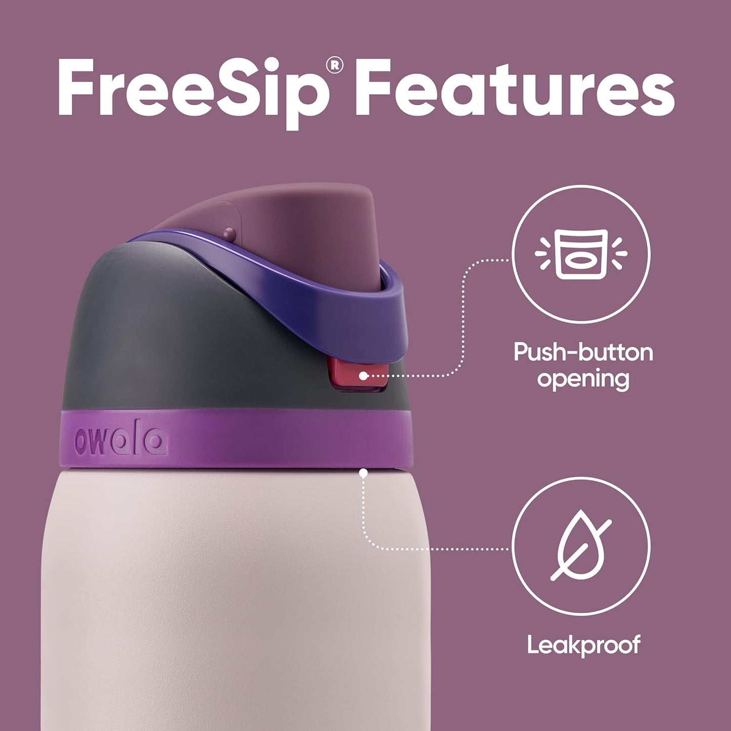 Insulated Stainless Steel Water Bottle - FreeSip Straw & Spout