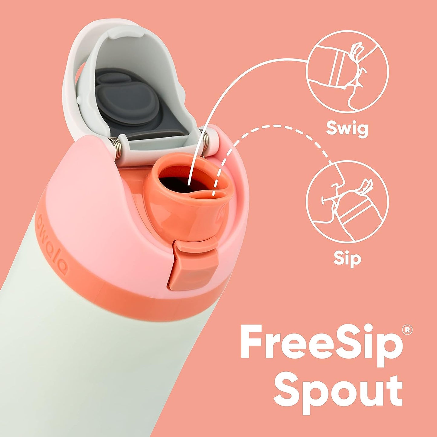 Insulated Stainless Steel Water Bottle - FreeSip Straw & Spout