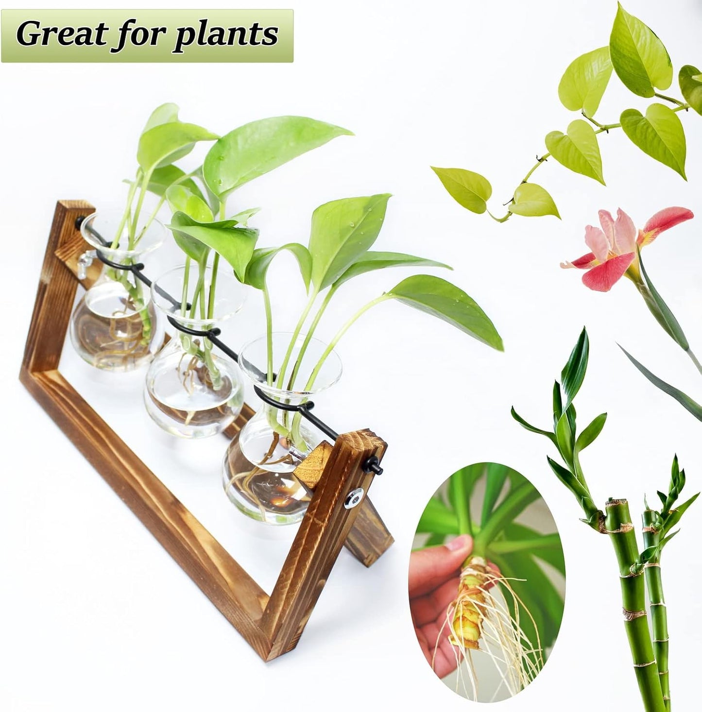 laffeya Plants Propagation Stations, Hydroponic Terrarium Kit- Desktop Glass Flower Planter 3 Glass Vase with Wood Stands for Home Office Decor, Plant Gifts for Plant Lovers (3 Bulb Vase C, Beige)