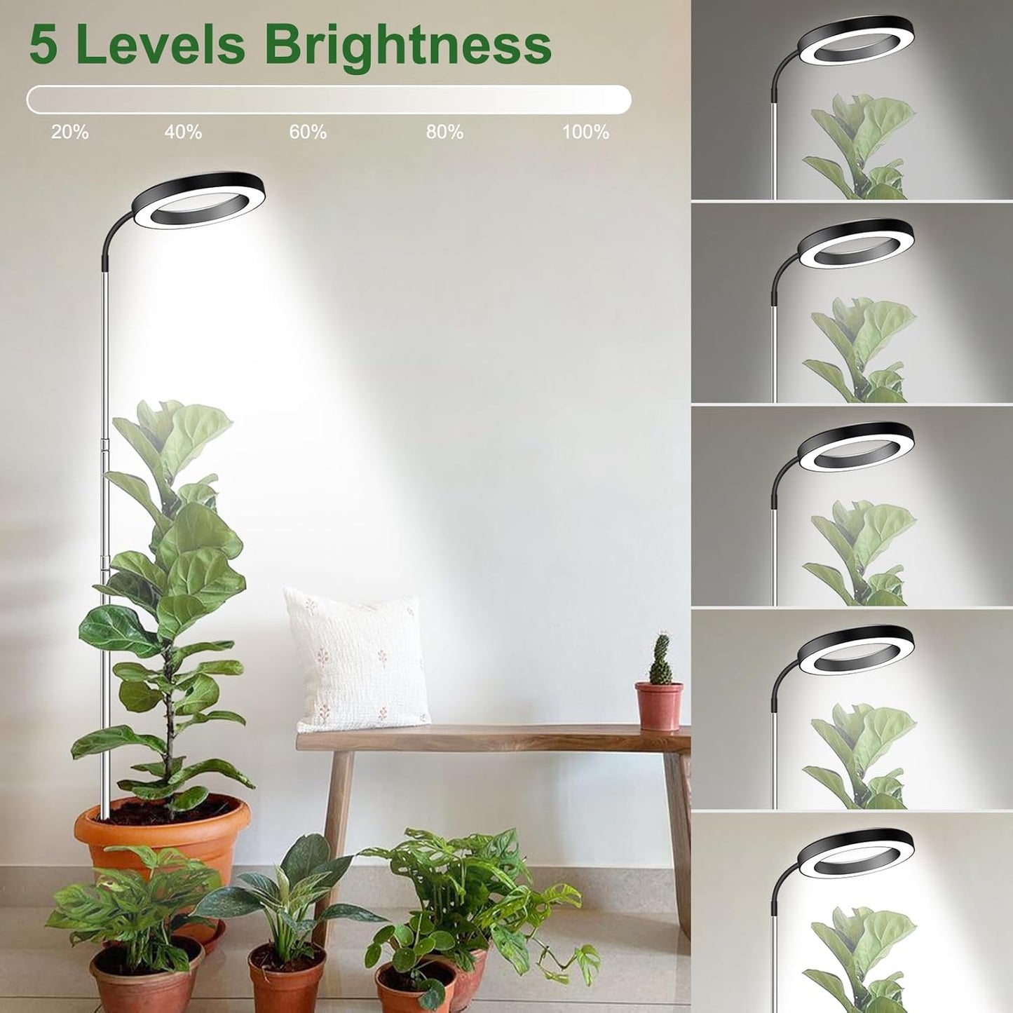 Height Adjustable Grow Light | Timer | 6500K