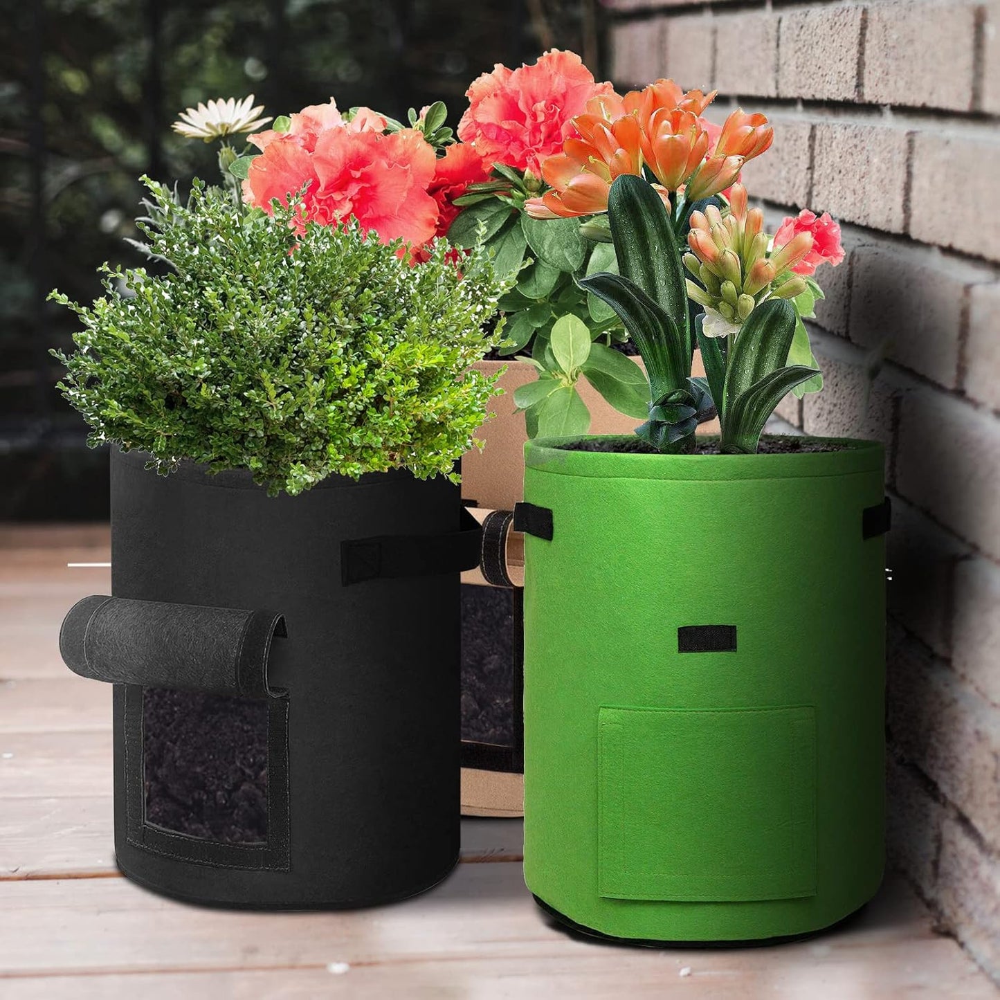 Durable Felt Grow Bags with Handles & Window | 38L, 6-Pack
