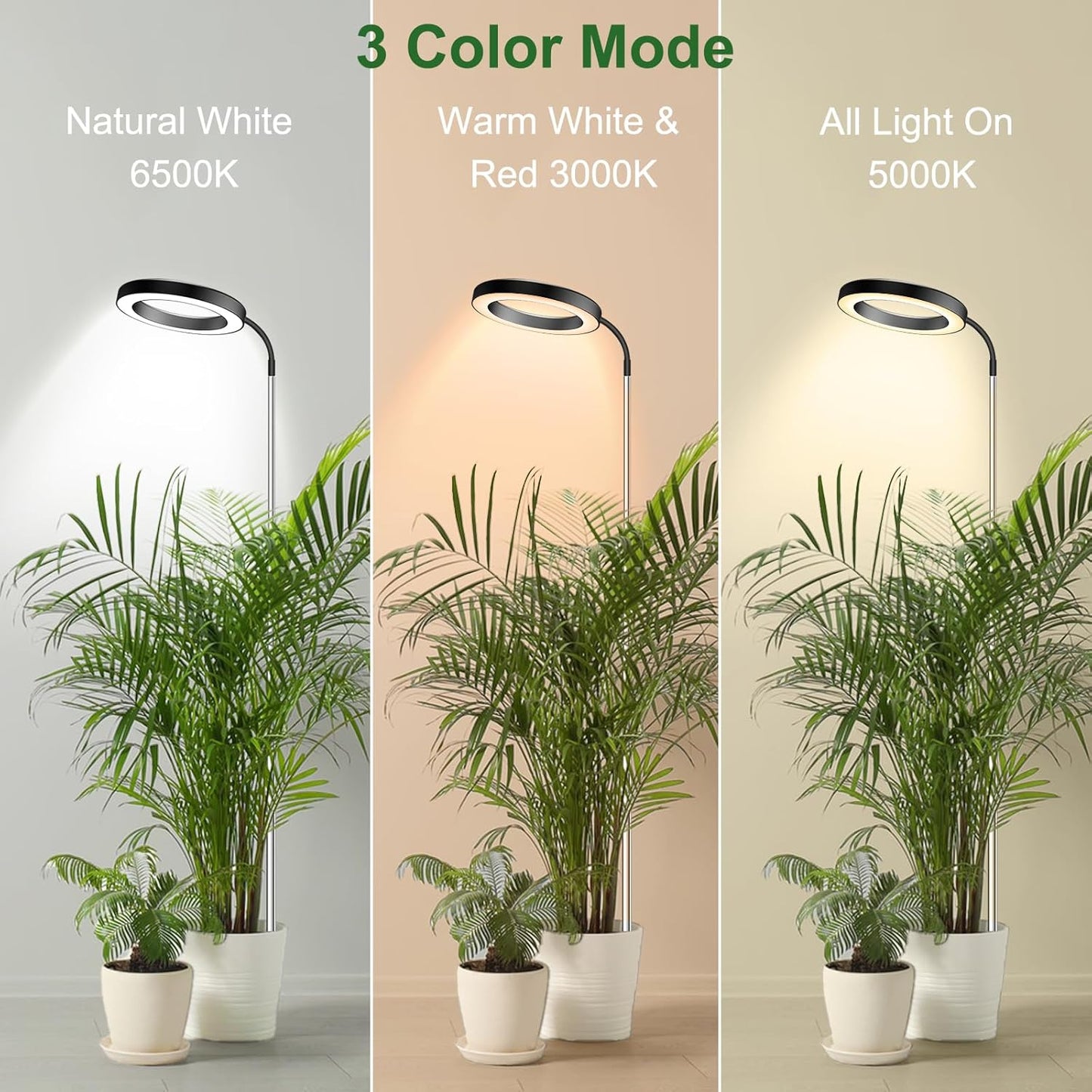Height Adjustable Grow Light | Timer | 6500K