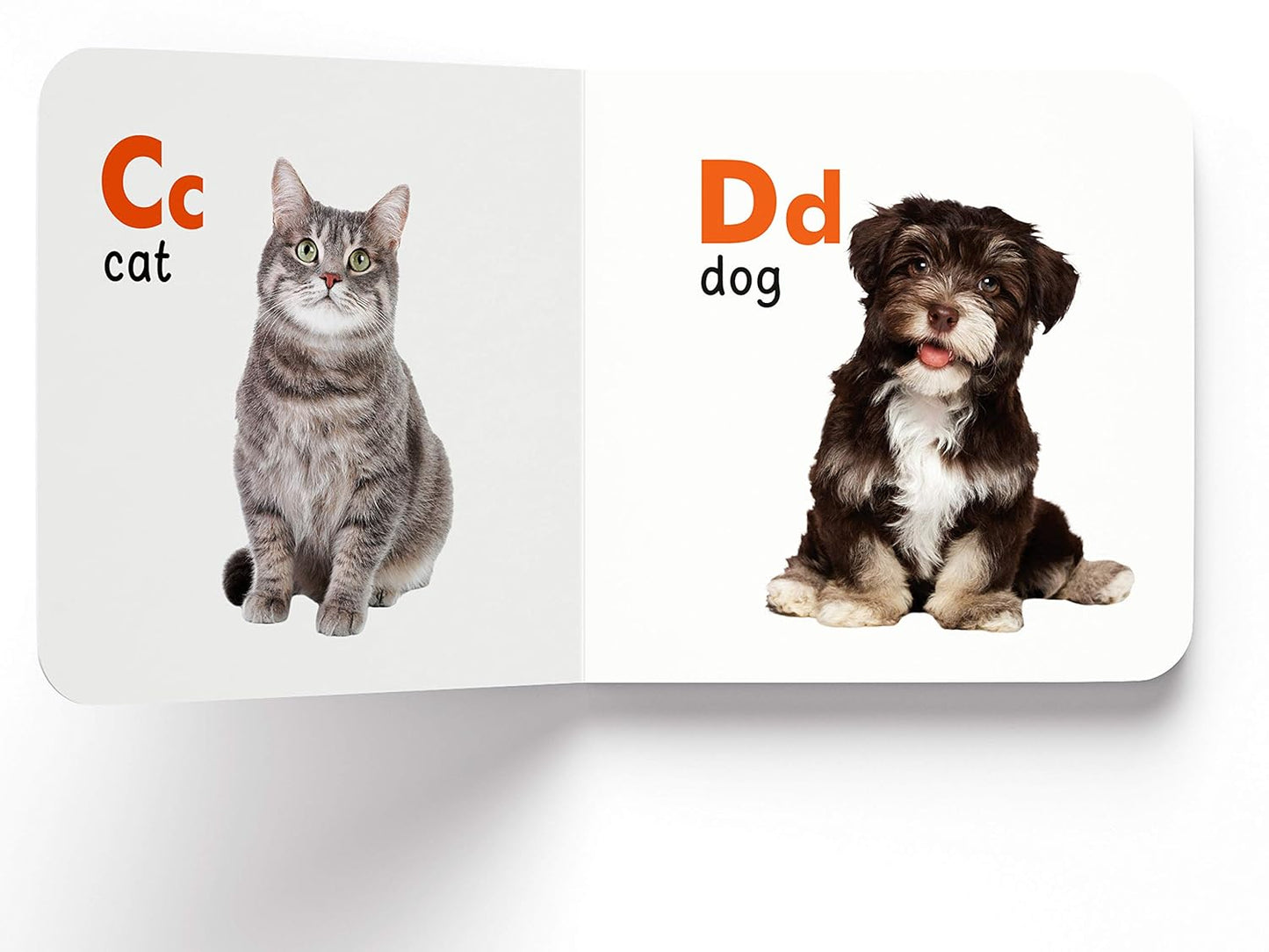 Toddler Learning Boxset | 10 Board Books | Educational | Australia