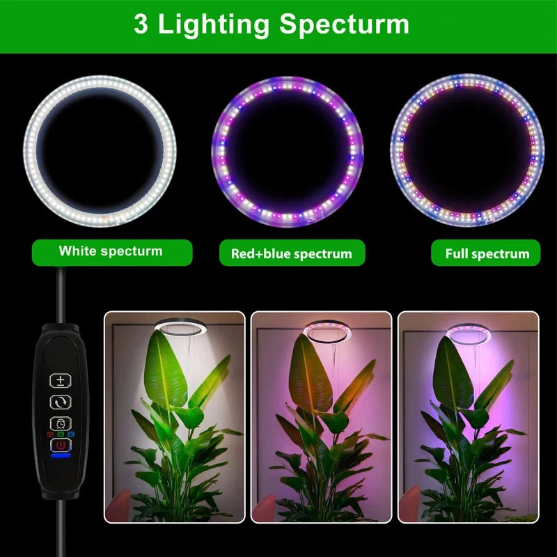 165cm Adjustable LED Ring Grow Light | Full Spectrum Indoor Plant Light