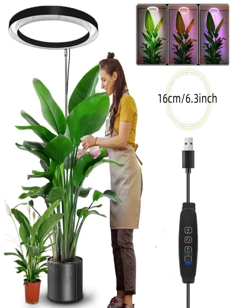 165cm Adjustable LED Ring Grow Light | Full Spectrum Indoor Plant Light
