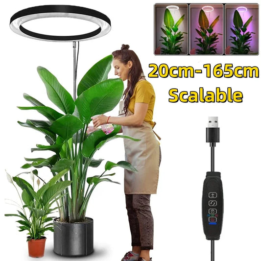 165cm Adjustable LED Ring Grow Light | Full Spectrum Indoor Plant Light