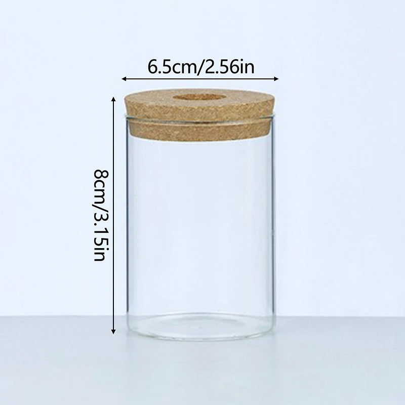 Soilless Plant Vase | Desktop Greenery Home & Office