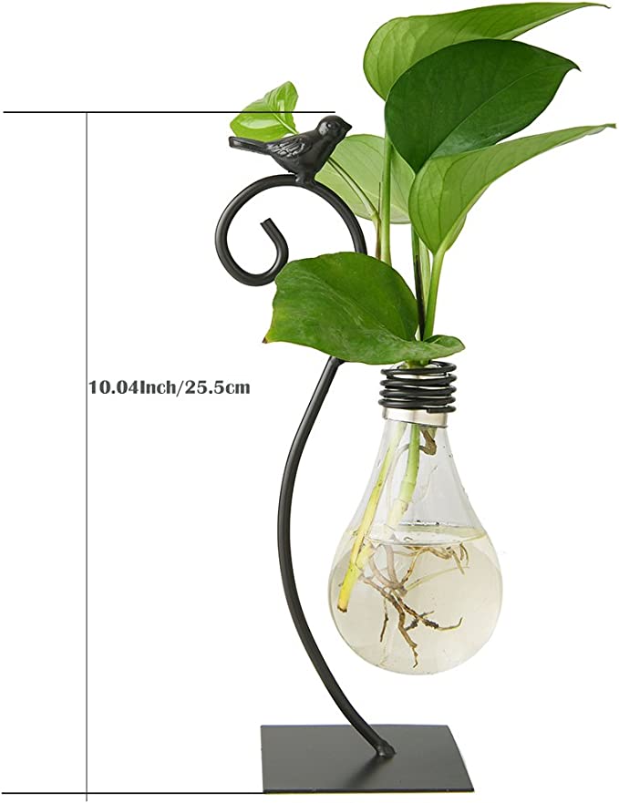Glass Bulb Planter