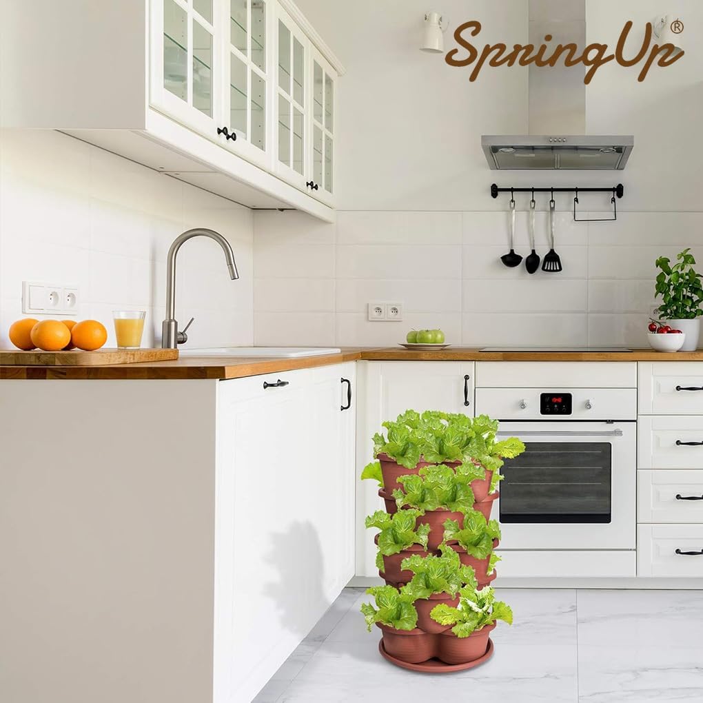 SpringUp 5 Tier Vertical Garden Strawberry Stackable Planters Herbs Petunias Pancy, Vegetable Planter Indoor Outdoor Gardening Pots with Removable Wheels and Tools (White)
