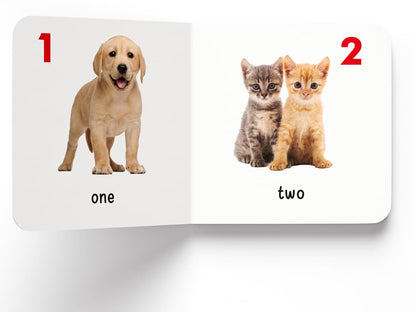 Toddler Learning Boxset | 10 Board Books | Educational | Australia