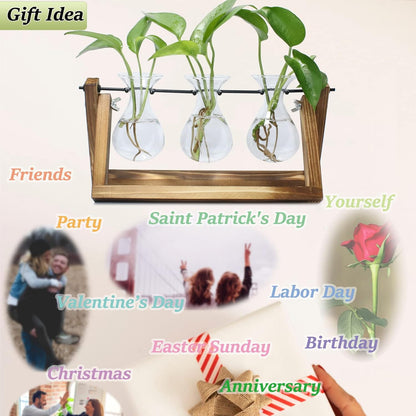 laffeya Plants Propagation Stations, Hydroponic Terrarium Kit- Desktop Glass Flower Planter 3 Glass Vase with Wood Stands for Home Office Decor, Plant Gifts for Plant Lovers (3 Bulb Vase C, Beige)