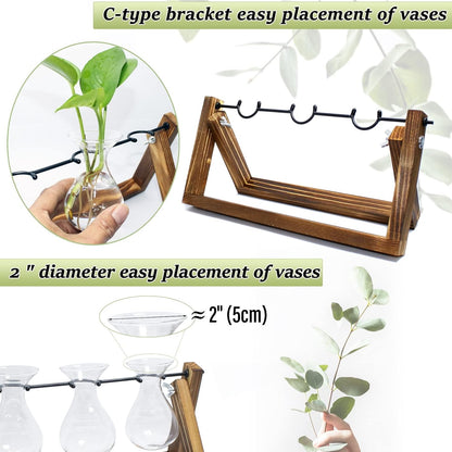 laffeya Plants Propagation Stations, Hydroponic Terrarium Kit- Desktop Glass Flower Planter 3 Glass Vase with Wood Stands for Home Office Decor, Plant Gifts for Plant Lovers (3 Bulb Vase C, Beige)