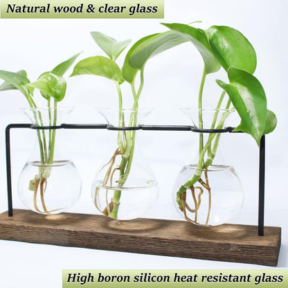 laffeya Plants Propagation Stations, Hydroponic Terrarium Kit- Desktop Glass Flower Planter 3 Glass Vase with Wood Stands for Home Office Decor, Plant Gifts for Plant Lovers (3 Bulb Vase C, Beige)