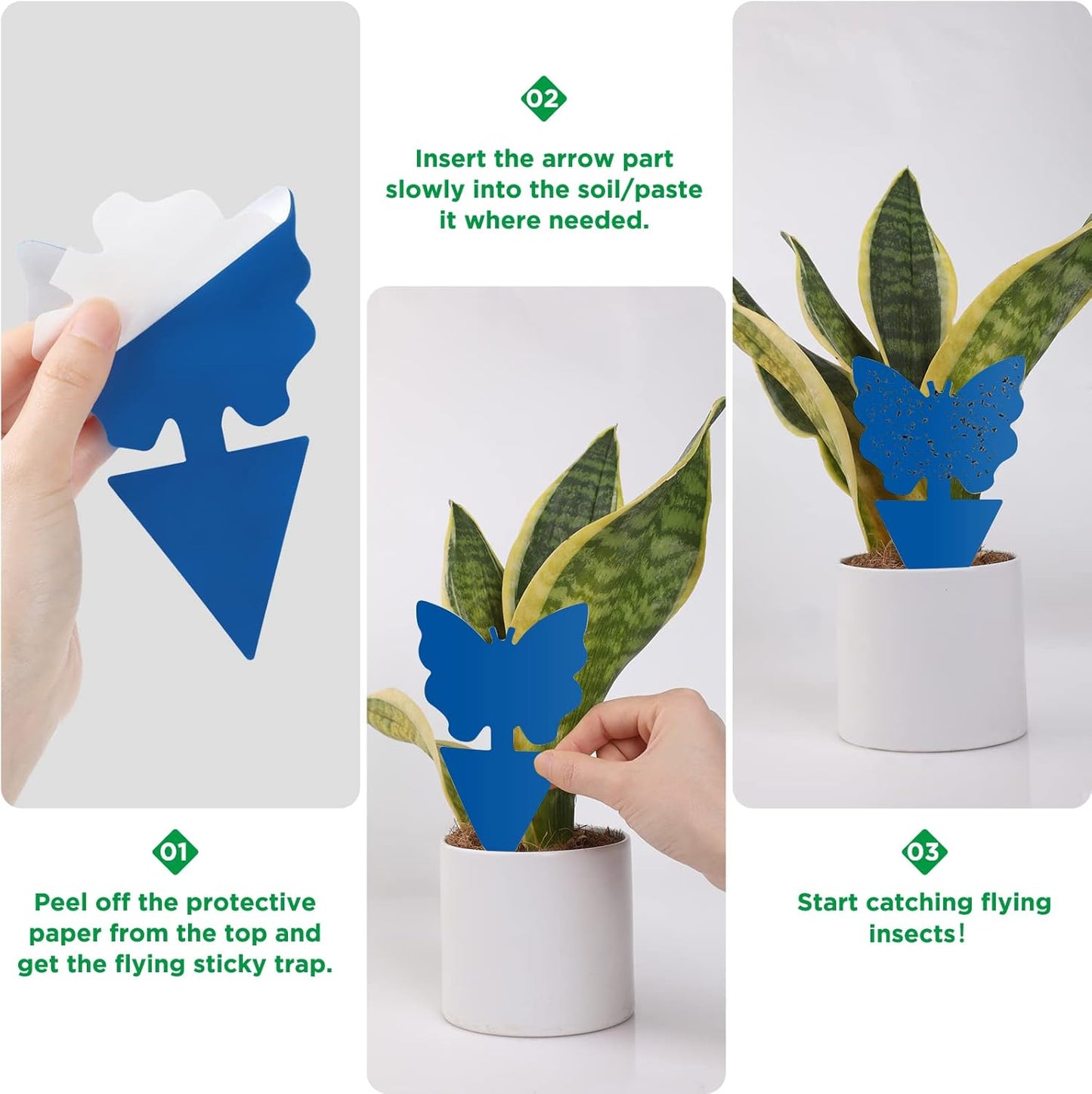 40 PCS Sticky Traps, GeeRic Sticky Fruit Fly and Plant Gnat Bug Traps for Indoor/Outdoor Use, Dual-Sided Black Sticky Traps Insect Catcher for White Flies, Mosquitos, Fungus Gnats, Flying Insects