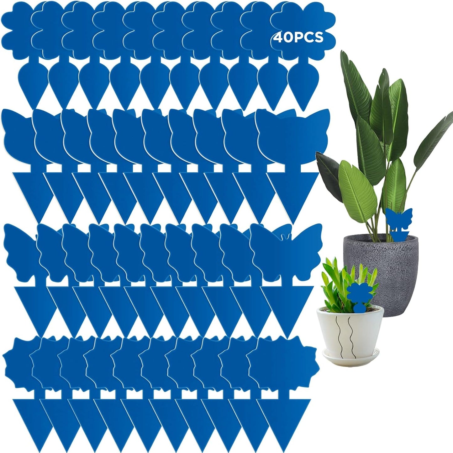 40 PCS Sticky Traps, GeeRic Sticky Fruit Fly and Plant Gnat Bug Traps for Indoor/Outdoor Use, Dual-Sided Black Sticky Traps Insect Catcher for White Flies, Mosquitos, Fungus Gnats, Flying Insects